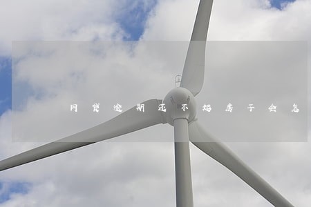 网贷逾期还不起房子会怎么样 网贷逾期还不起房子会怎么样