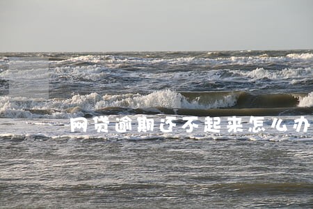 网贷逾期还不起来怎么办 网贷逾期还不起来怎么办
