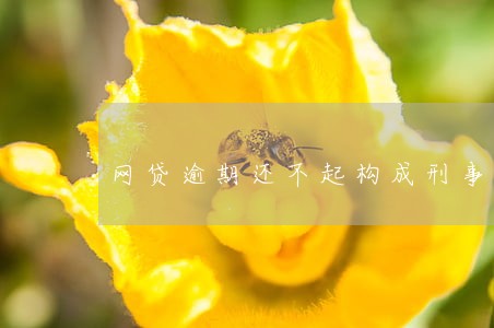 网贷逾期还不起构成刑事案件吗 网贷逾期还不起构成刑事案件吗
