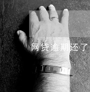 网贷逾期还了一半多 网贷逾期还了一半多