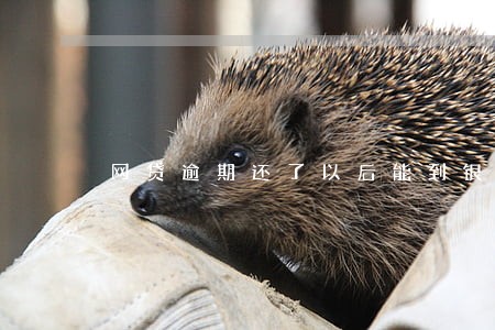 网贷逾期还了以后能到银行贷款 网贷逾期还了以后能到银行贷款