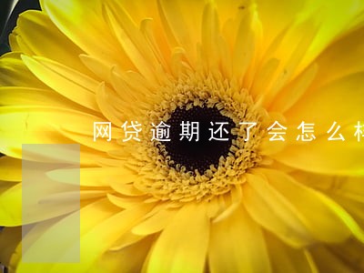网贷逾期还了会怎么样 网贷逾期还了会怎么样