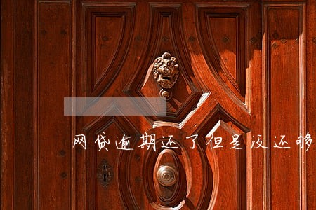网贷逾期还了但是没还够 网贷逾期还了但是没还够