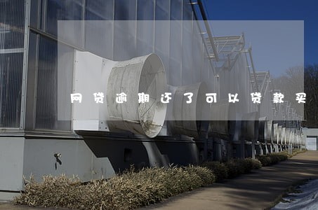 网贷逾期还了可以贷款买车吗 网贷逾期还了可以贷款买车吗