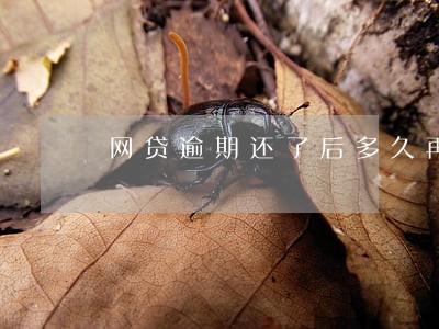 网贷逾期还了后多久再可以贷出来 网贷逾期还了后多久再可以贷出来