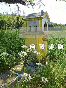 网贷逾期还了后多久才恢复征信 网贷逾期还了后多久才恢复征信
