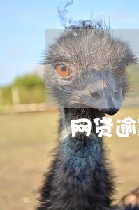 网贷逾期还了多久会被抹掉
