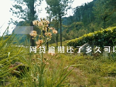 网贷逾期还了多久可以分期买车 网贷逾期还了多久可以分期买车