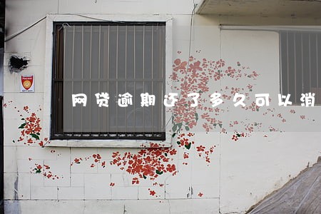 网贷逾期还了多久可以消除 网贷逾期还了多久可以消除