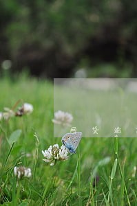 网贷逾期还了多久才能贷 网贷逾期还了多久才能贷