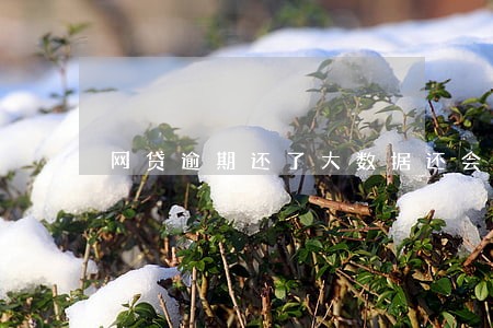 网贷逾期还了大数据还会显示吗 网贷逾期还了大数据还会显示吗