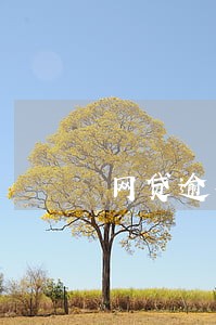 网贷逾期还了影响房贷审批 网贷逾期还了影响房贷审批