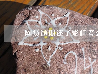 网贷逾期还了影响考公务员吗 网贷逾期还了影响考公务员吗