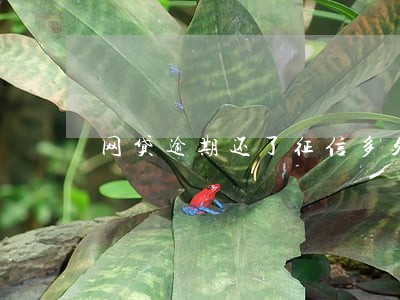 网贷逾期还了征信多久恢复 网贷逾期还了征信多久恢复