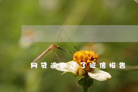 网贷逾期还了征信报告 网贷逾期还了征信报告