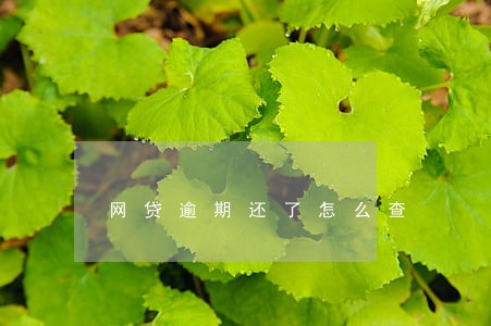 网贷逾期还了怎么查 网贷逾期还了怎么查