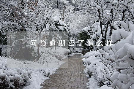 网贷逾期还了怎么样 网贷逾期还了怎么样