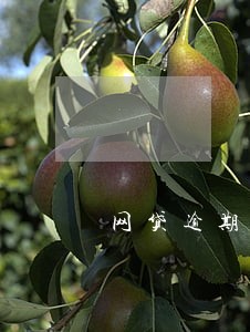 网贷逾期还了有用吗 网贷逾期还了有用吗