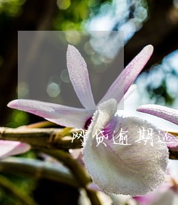 网贷逾期还了次日还会电话响吗 网贷逾期还了次日还会电话响吗
