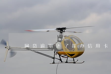 网贷逾期还了能办信用卡 网贷逾期还了能办信用卡