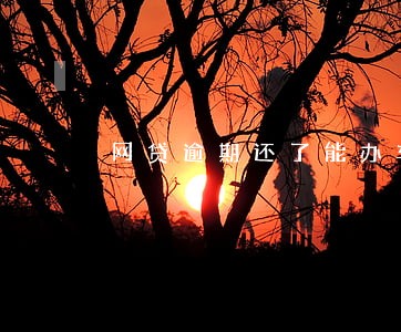 网贷逾期还了能办车贷吗