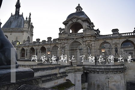 网贷逾期还了能在借出来吗 网贷逾期还了能在借出来吗