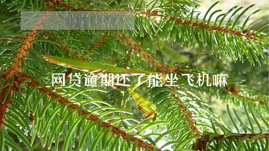 网贷逾期还了能坐飞机嘛 网贷逾期还了能坐飞机嘛