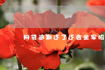 网贷逾期还了还会坐牢吗