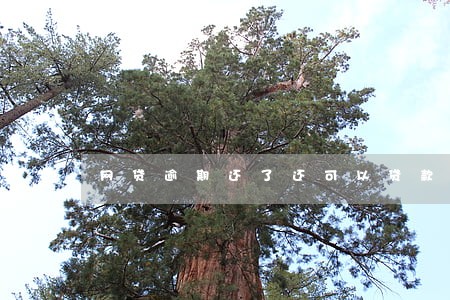 网贷逾期还了还可以贷款吗 网贷逾期还了还可以贷款吗