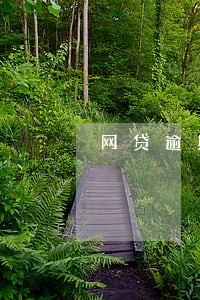网贷逾期还了还能借 网贷逾期还了还能借
