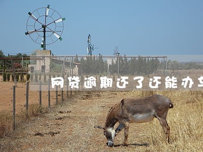 网贷逾期还了还能办车贷吗 网贷逾期还了还能办车贷吗