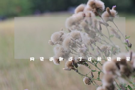 网贷逾期还了还能贷款买房吗