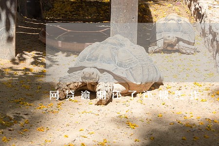 网贷逾期还了还被轰炸 网贷逾期还了还被轰炸