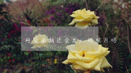 网贷逾期还会发p的照片吗