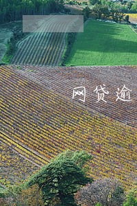 网贷逾期还会有什么后果 网贷逾期还会有什么后果