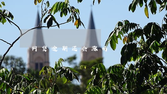 网贷逾期还会涨吗 网贷逾期还会涨吗