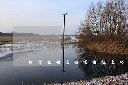 网贷逾期还会爆通讯录吗