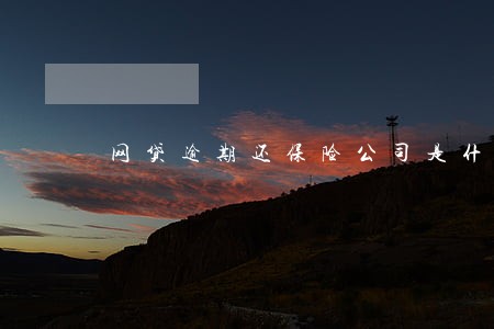 网贷逾期还保险公司是什么情况 网贷逾期还保险公司是什么情况