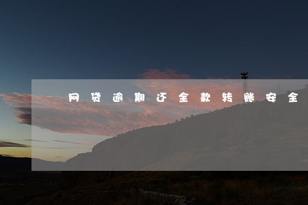 网贷逾期还全款转账安全吗 网贷逾期还全款转账安全吗