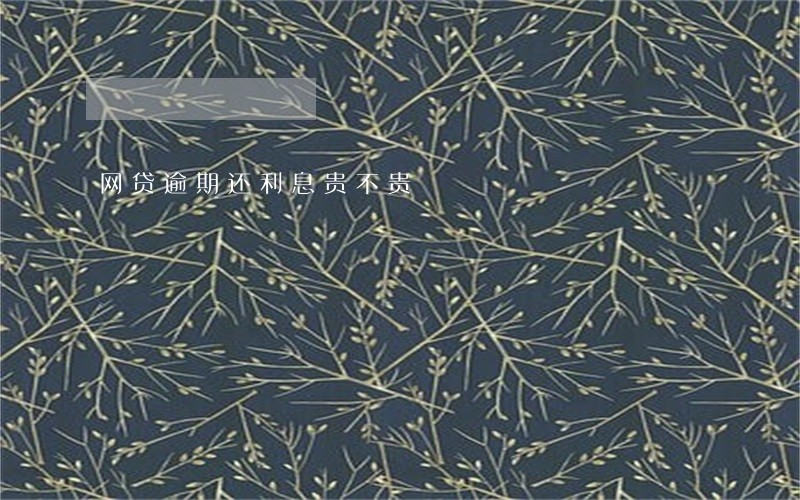 网贷逾期还利息贵不贵 网贷逾期还利息贵不贵