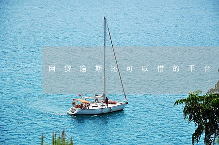 网贷逾期还可以借的平台 网贷逾期还可以借的平台