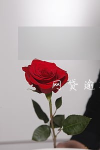 网贷逾期还可以再借吗 网贷逾期还可以再借吗