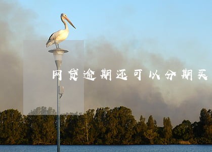网贷逾期还可以分期买手机吗 网贷逾期还可以分期买手机吗