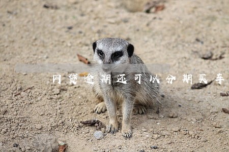 网贷逾期还可以分期买车吗 网贷逾期还可以分期买车吗