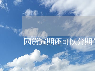 网贷逾期还可以分期车么 网贷逾期还可以分期车么