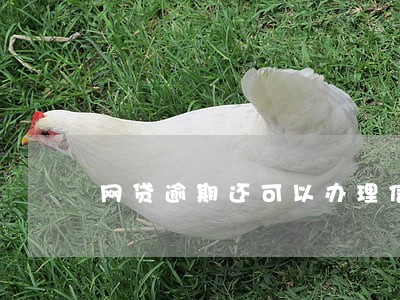 网贷逾期还可以办理信用卡 网贷逾期还可以办理信用卡