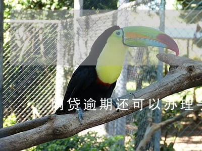 网贷逾期还可以办理手机卡吗 网贷逾期还可以办理手机卡吗