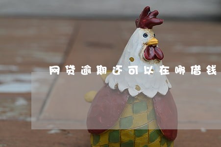 网贷逾期还可以在哪借钱