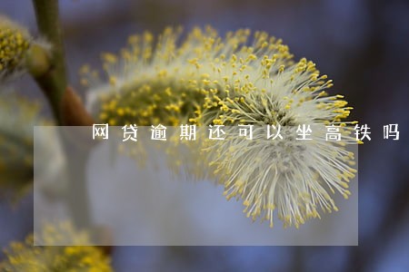 网贷逾期还可以坐高铁吗