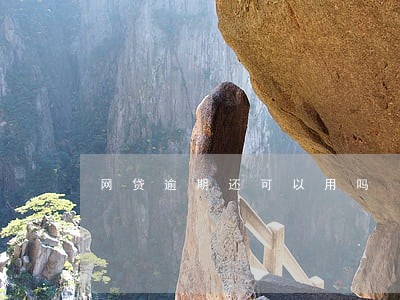 网贷逾期还可以用吗 网贷逾期还可以用吗